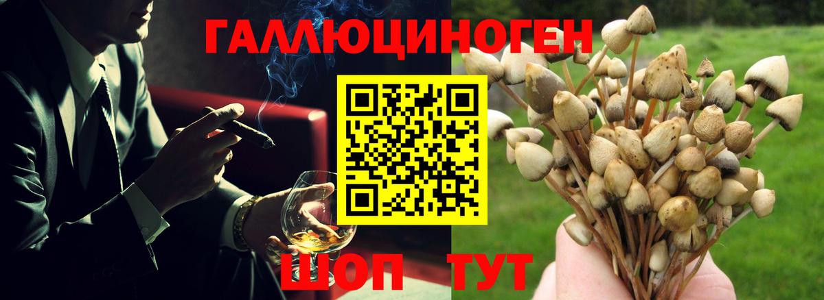 Псилоцибиновые грибы прущие грибы Владимир
